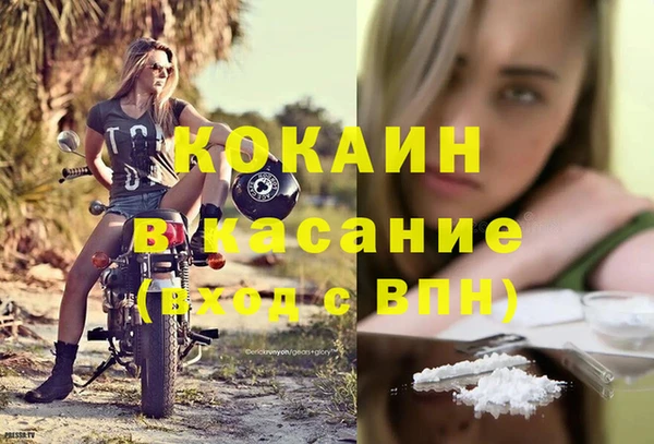 шишки Краснотурьинск