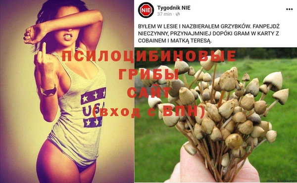бутират Краснослободск