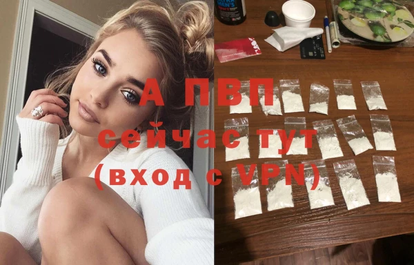 шишки Краснотурьинск