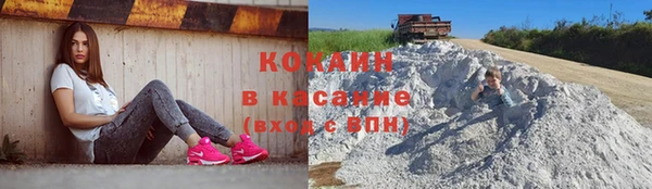 шишки Краснотурьинск