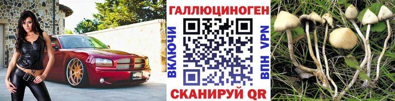 Галлюциногенные грибы GOLDEN TEACHER  магазин  наркотиков  Ликино-Дулёво 